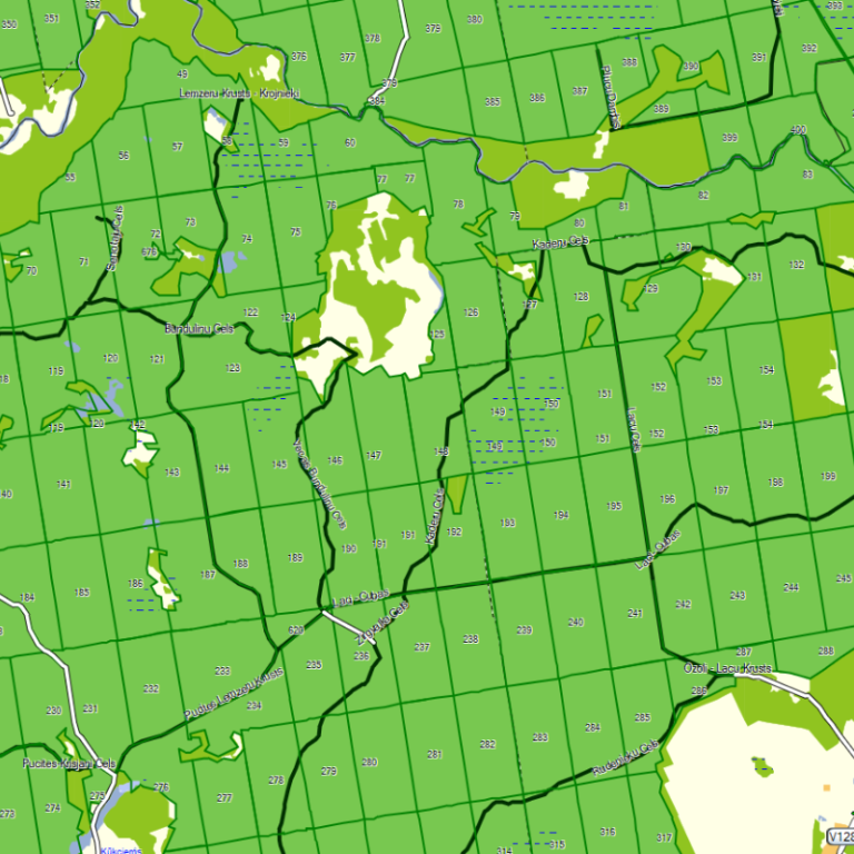 Jāņa sēta | Latvijas kartes ar Latvijas valsts mežu datiem Garmin