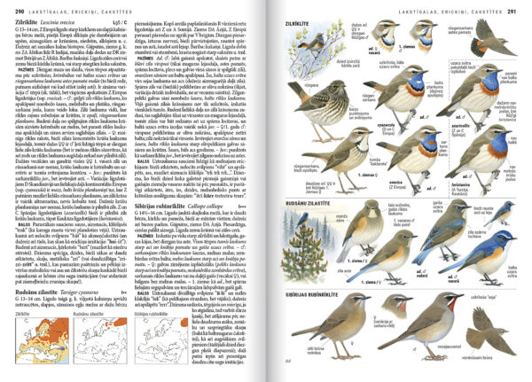 "Putnu noteicējs" 2. papildinātais izdevums - Image 4