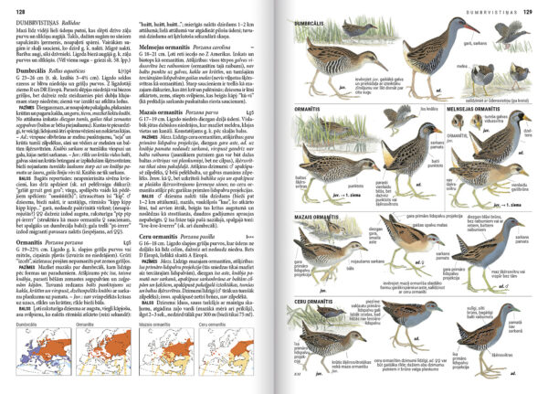 Bird Guide 2nd edition (Latvian language) - Image 2