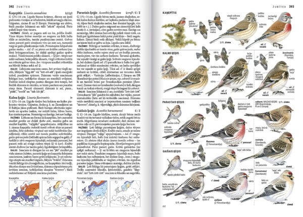 Bird Guide 2nd edition (Latvian language) - Image 3